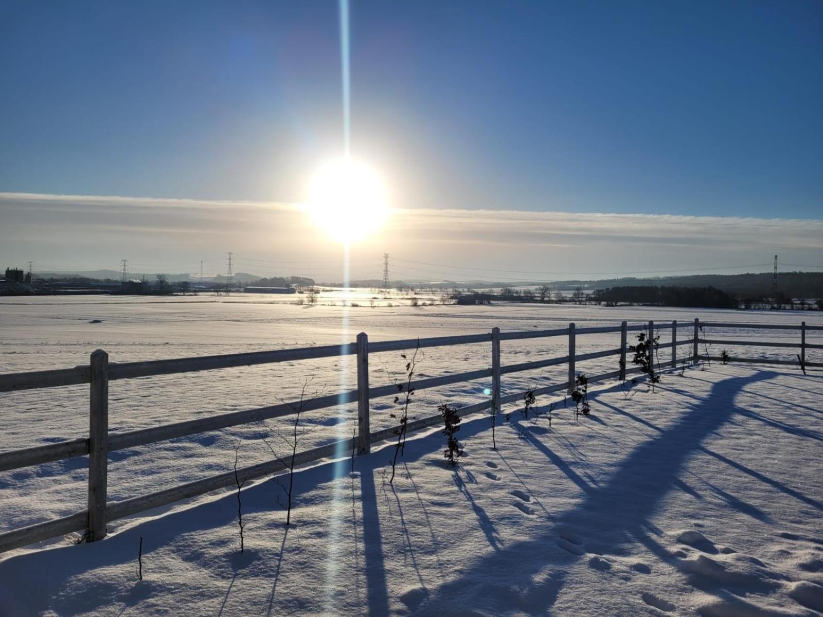 Domek Na Pagorku Lwowek Slaski Exterior foto